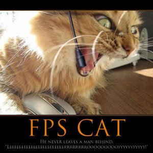 fps cat