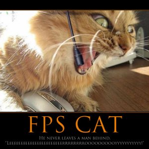 fps cat