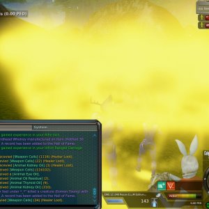 Entropia 2014-08-16 21-55-53-19.jpg