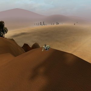 Looking out over the desert