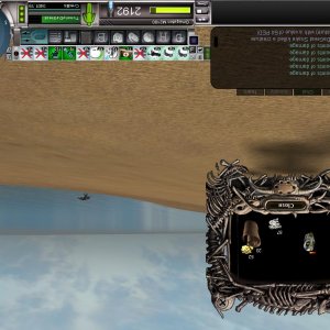 Cornundacauda - 64 ped