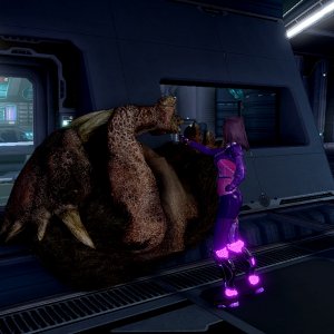 ships pet