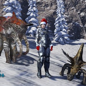 new pets
