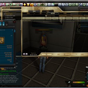 Auction glitch -1