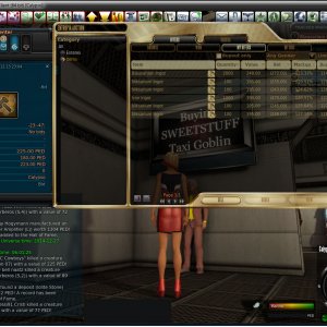 Auction glitch - 2