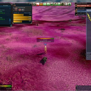 recent loot from corn (Kobold)