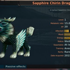 Sapphire Chirin Dragon