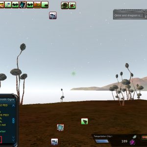 Pk global
