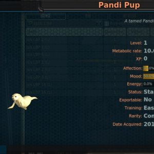 Pandi