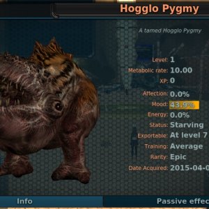 Hogglo pet