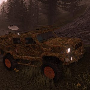 Vehicle collection