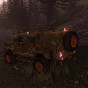 Vehicle collection