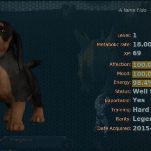 Fido