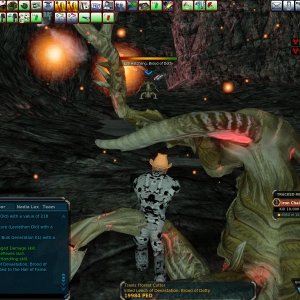 Brood of Dotty 19k