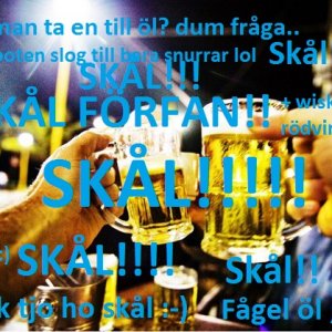 skål