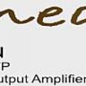 Soc LA Advert Spiders