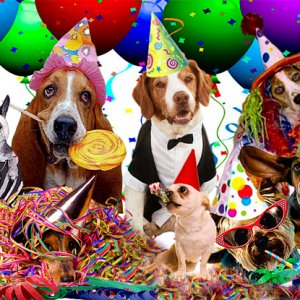 Party Dogs