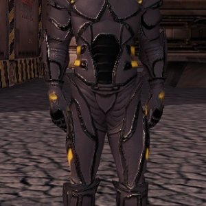 Lion armor set