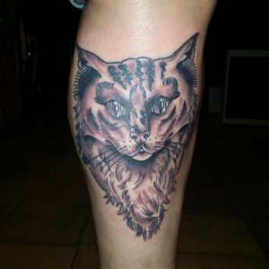 cat tattoo