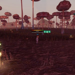 Mining event OLA 43
