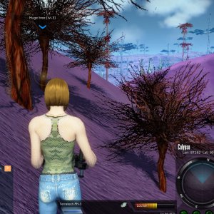 I'm a Lumberjack & I'm OK