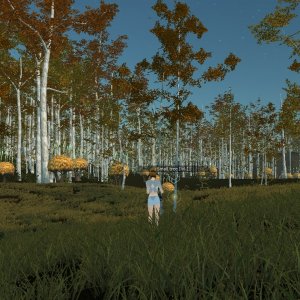 An other tree from Arcady