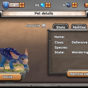 Blank Pet Details