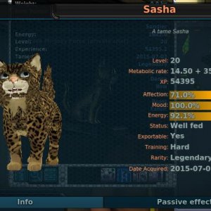 Sasha LVL 20