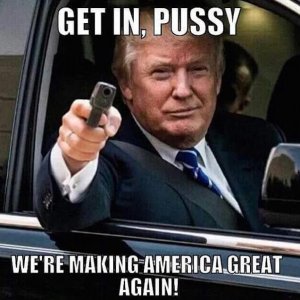 1-donald-trump-meme-get-in-pussy-making-america-great-again1
