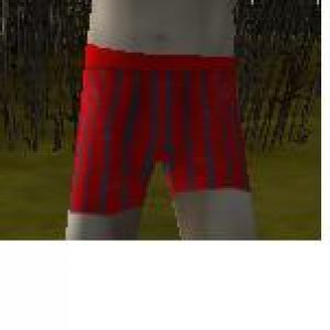 boxers
