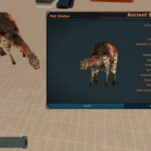 Exosaur pet and some other stuff