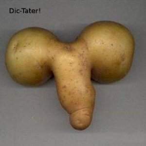 dick tater