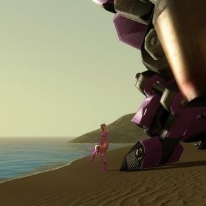 sunset at the beacch