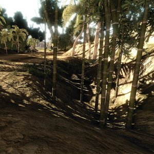nextisland-finedetail