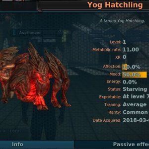 Yog Hatchling Pet