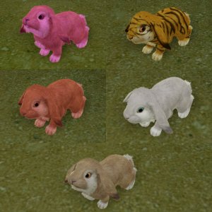 All rabbits for sale