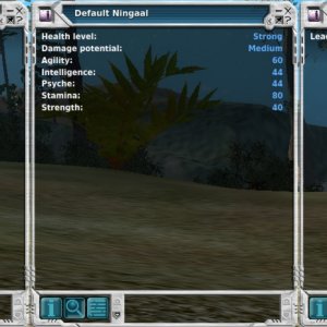 Ningaal Chimera Next Island