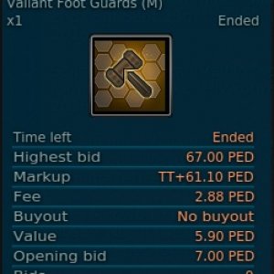 Valiant Foot Guard Sold