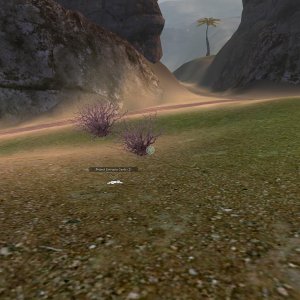 Project Entropi Cents