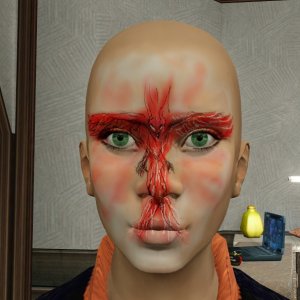 fenix test