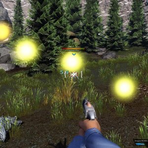 2019-04-28 -- phasm pup 7 ped