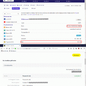 Kraken withdrawal