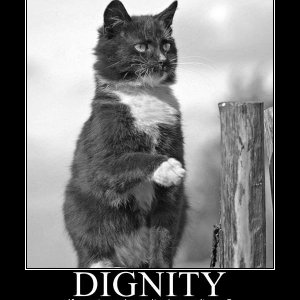 Dignity