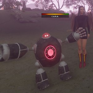 C.A.R.A. Pet