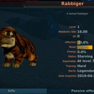 Rabbiger for sale