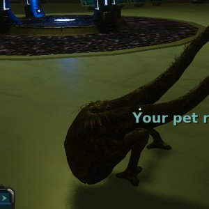 pet