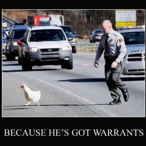 because warrant