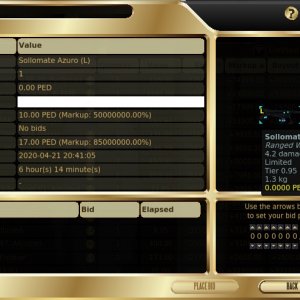dubious auction