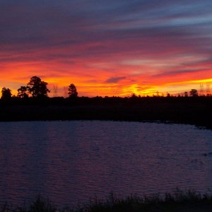 Asherst Lake, ( collapsed volcanic bubble, filled with winter snow runoff ), used as a county fishery: Rainbow Trout, infested with Great Northern Pik