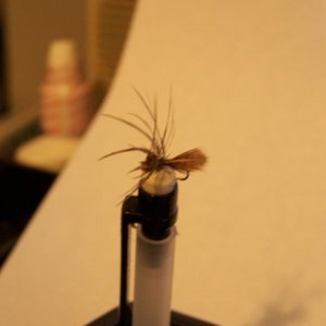 lol, my first tied fly (2007)